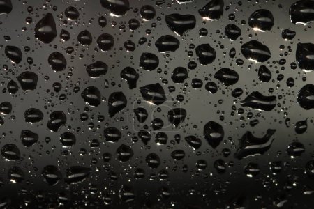 Téléchargez les photos : Gouttes d'eau sur verre avec gouttelettes de pluie sur fond noir - en image libre de droit