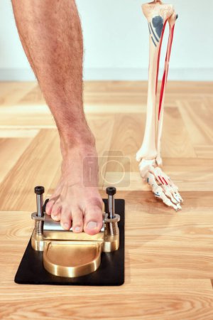 Photo for Diagnosis of flat feet human leg and medical skeleton and orthopedic equipment pilates, problems with flat feet, pain. Identification of flat feet. Treatment of plantar fasciitis of the foot and - Royalty Free Image