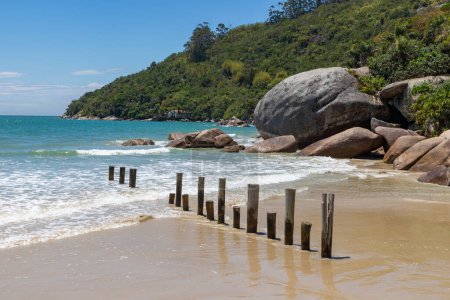 Foto de Rocas, olas y bosques en la playa de Canto Grande, Bombinhas, Santa Catarina, Brasil - Imagen libre de derechos