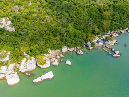 Téléchargez les photos : Vue aérienne de forêt, rochers et plage, Canto Grande plage, Bombinhas, Santa Catarina, Brésil - en image libre de droit