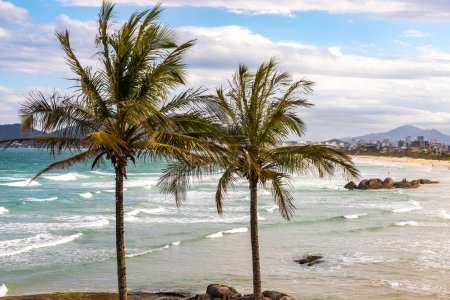 Photo for Trees, rocks and waves in Atalaia beach, Bombinhas, Santa Catarina, Brazil - Royalty Free Image