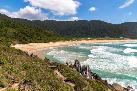 Trail to the Beach, forest and rocks in the wild Lagoinha do Leste beach, Florianopolis, Santa Catarina, Brazil