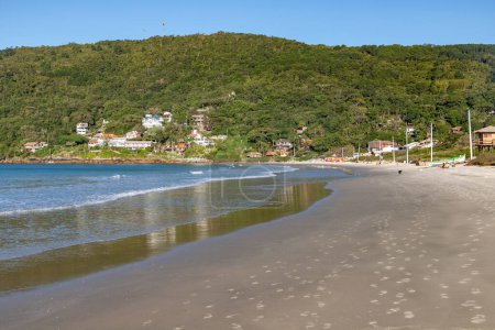 Téléchargez les photos : Houses, waves and vegetation at Ponta das Canas beach, Santa Catarina, Brazil - en image libre de droit