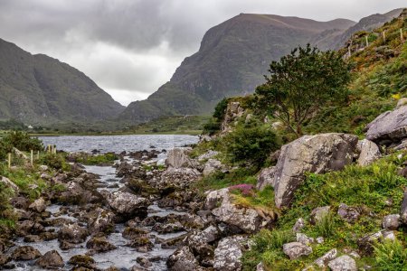 Téléchargez les photos : Lac à Gap of Dunloe avec rochers et végétation, Killarney, Kerry, Irlande - en image libre de droit