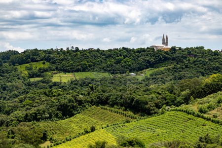 Téléchargez les photos : Vignobles et forêt dans la vallée, Vale dos Vinhedos, Monte Belo do Sul, Rio Grande do Sul, Brésil - en image libre de droit