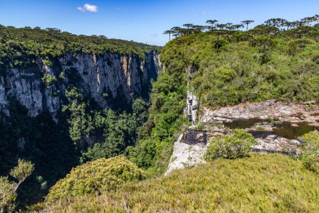 Wald, Fluss und Klippen im Itaimbezinho Canyon, Cambara do Sul, Rio Grande do Sul, Brasilien