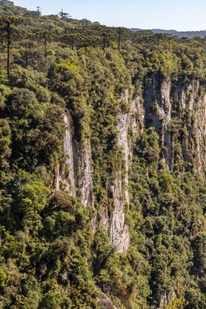Wald und Klippen im Itaimbezinho Canyon, Cambara do Sul, Rio Grande do Sul, Brasilien