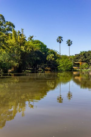 Lake in Redencao Park, Porto Alegre, Rio Grande do Sul, Brazil