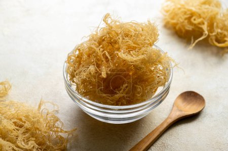 Foto de Golden Dry Sea Moss, suplemento alimenticio saludable rico en minerales y vitaminas utilizados para la nutrición y la salud. - Imagen libre de derechos