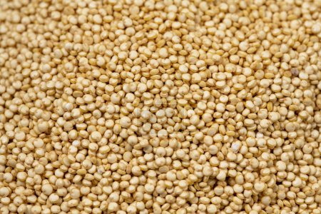 Photo for Dry quinoa uncooked closeup texture. Healthy eating. - Royalty Free Image