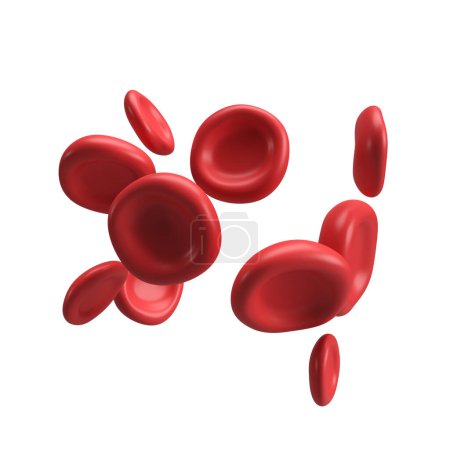 Téléchargez les photos : 3d flux globules rouges plaquettes de fer érythrocyte. Illustration d'analyse médicale réaliste sur fond blanc avec chemin de coupure. - en image libre de droit