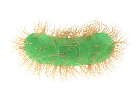 Illustration 3D Escherichia Coli de bactérie bactérie médecine, salmonella typhosa avec flagelles vue microscopique dans le fluide. Virus médical, concept scientifique avec microbe et germe, isolé