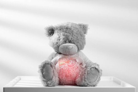 Photo for Illustration of internal organs is on the teddy bear against the gray background. - Royalty Free Image