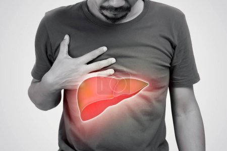 Foto de The illustration of liver is on the man's body against gray background. A men with hepatitis and fatty liver problem. - Imagen libre de derechos