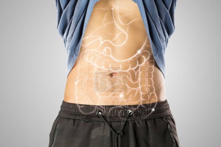 Internal organ illustration on the male body against a light gray background.