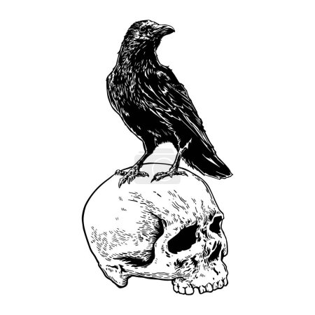 Photo for Crow standing on skull - Royalty Free Image