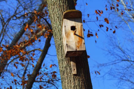 Photo for Homemade birdhouse on a tree . Wooden house for birds in the park - Royalty Free Image