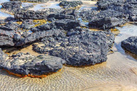 Foto de Rocky lava on the coast . Ocean shore with stones - Imagen libre de derechos
