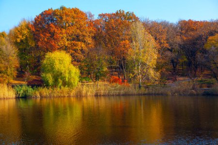 Foto de Parque de otoño y lago. Reflejo naturaleza otoño en el agua del lago - Imagen libre de derechos