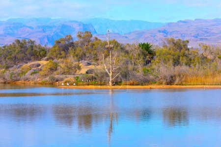 Photo for Birdwatching Site . Scenery with lake and mountains - Royalty Free Image