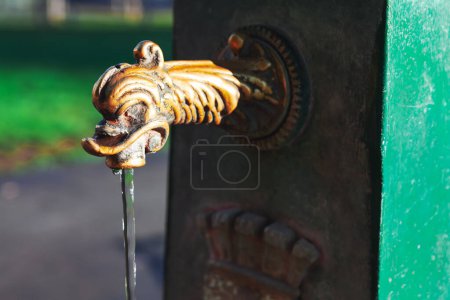 Photo for Old rusty water tap in the park, closeup of photo. Drinking water from figurine tap - Royalty Free Image