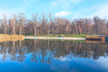 Photo for Lake in springtime park with trees reflection in the water - Royalty Free Image