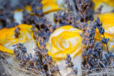 Photo for Yellow rose takes center stage contrast with the surrounding dry plants - Royalty Free Image