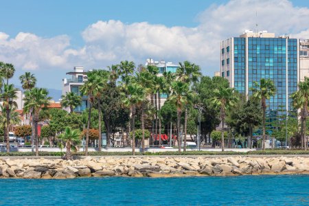 Palmen auf der Promenade der Stadt Limassol Zypern
