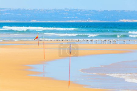 Red flags on the sandy beach of Atlantic Ocean. Costa da Caparica in Lisbon Portugal