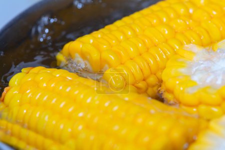 Boiled corn on the cob in the pan, close-up
