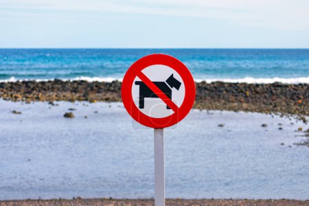 No se permiten perros signo en la playa. Señal de prohibición en la playa para perros paseantes
