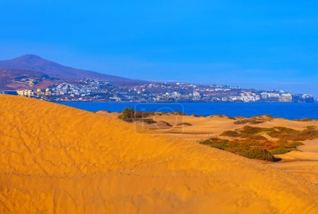 Dunes de sable à Maspalomas, Grande Canarie, Îles Canaries, Espagne. Paseo Costa Canaria, San Agustin à Maspalomas