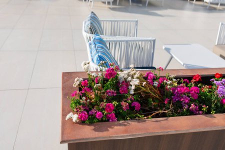 Blooming flowers and chairs in a terrace at a luxury hotel