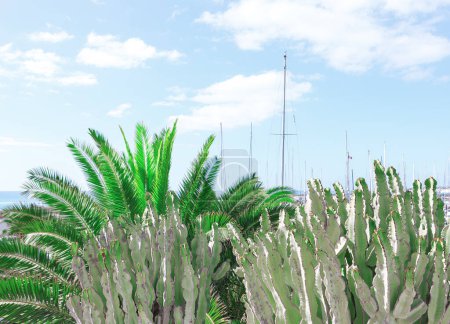 Large cactus plant with a harbor in the background, surrounded by tropical foliage and masts