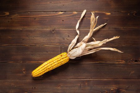 Photo for Dried corn cob on wooden table as autumn still life - Royalty Free Image