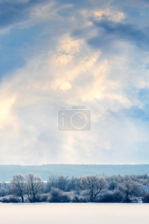 Téléchargez les photos : Paysage hivernal avec des arbres sur le bord d'un champ et un ciel haut avec des nuages pittoresques au coucher du soleil - en image libre de droit