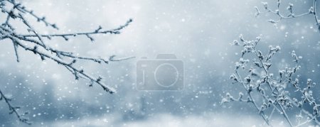 Vue d'hiver atmosphérique avec branches d'arbres couvertes de gel et plantes sèches dans la forêt sur fond flou pendant les chutes de neige