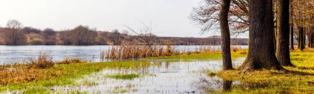 Foto de Paisaje primaveral con un río y árboles cerca del río durante una inundación - Imagen libre de derechos