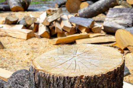 Ein Holzstamm und gehäckseltes Brennholz im Hof