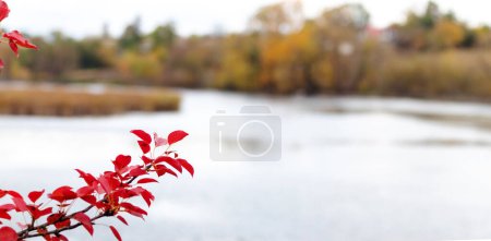 Tree branch with red leaves on the background of the river in autumn
