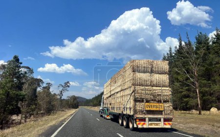 Photo for GLEN INNES, NSW - OCT 31 2023:Over size truck transporting large shipment of hay, the foundation of the diet for all grazing animals, provide as much as 100% of the fodder required for an animal. - Royalty Free Image