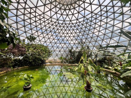 Photo for BRISBANE - DEC 12 2023:Australian trees and plants grow inside Brisbane Botanic Gardens Tropical Display Dome at Mt Coot-tha Queensland Australia.The gardens receive over a million visitors annually. - Royalty Free Image