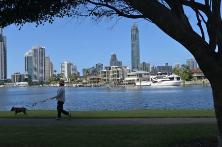 Photo for SURFERS PARADISE, QLD - APR 12 2024:Australian person walking a dog along Nerang River in Surfers Paradise.The Nerang River catchment is the largest and most significant river system on the Gold Coast - Royalty Free Image