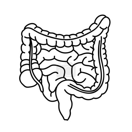 Illustration for Human intestines in cartoon style. Human digestive system. Human intestines icon or logo for medicine. Isolated on white background there is a place for an inscription - Royalty Free Image