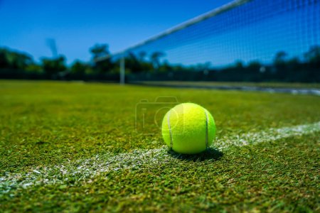 Photo for Tennis ball on grass tennis court - Royalty Free Image