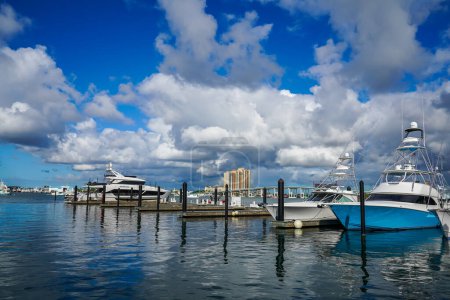 Photo for PALM BEACH SHORES, FLORIDA - NOVEMBER 8, 2023: Sailboats and yachts at Sailfish Marina, home to a world-famous fleet of luxury sport fishing yachts and a favorite docking in the Palm Beaches, Florida - Royalty Free Image