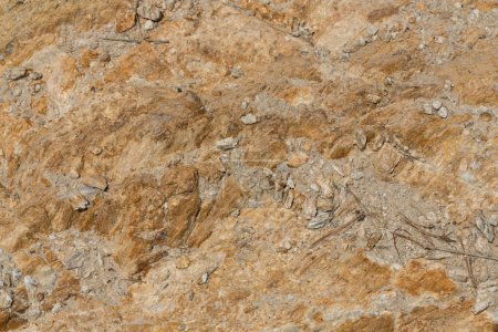 Téléchargez les photos : Formation rocheuse. Le fond des copeaux de pierre. Montagnes, macro photographie. - en image libre de droit