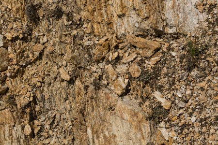 Téléchargez les photos : Formation rocheuse. Le fond des copeaux de pierre. Montagnes, macro photographie. - en image libre de droit