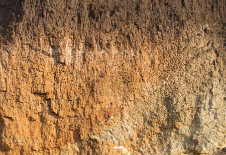 Photo for Sedimentary rocks with a high content of iron oxide. Red soil, loam. The texture of the soil. - Royalty Free Image