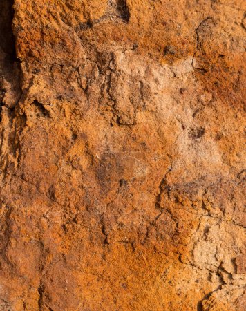 Photo for Sedimentary rocks with a high content of iron oxide. Red soil, loam. The texture of the soil. - Royalty Free Image